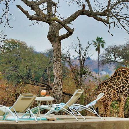 ホテル Ngalali Retreat Grietjie Game Reserve エクステリア 写真