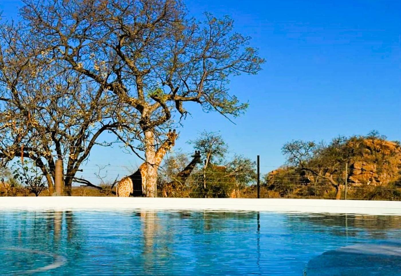 ホテル Ngalali Retreat Grietjie Game Reserve エクステリア 写真