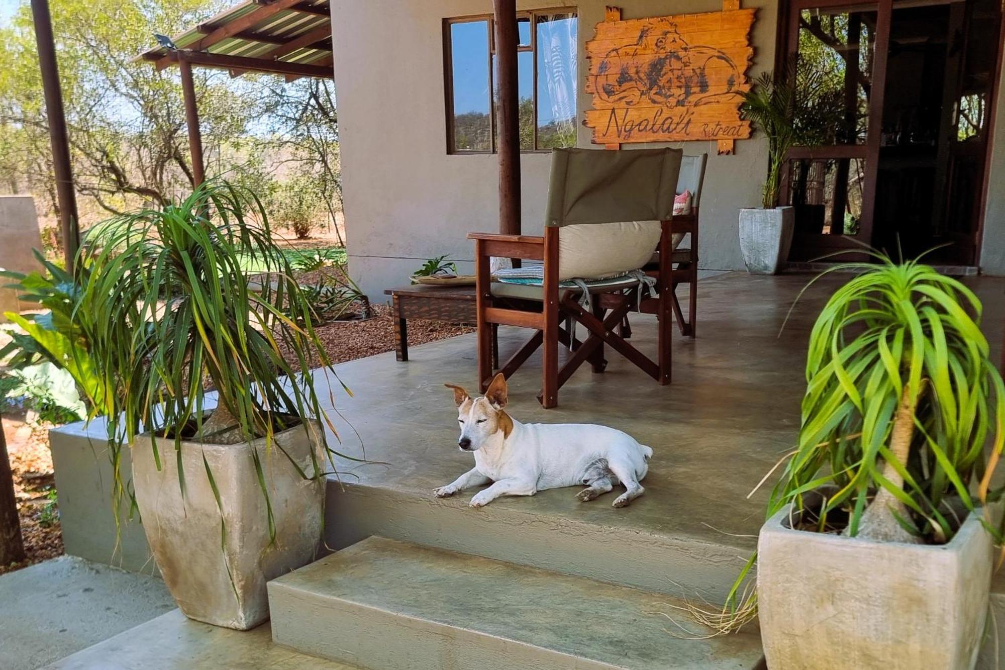ホテル Ngalali Retreat Grietjie Game Reserve エクステリア 写真