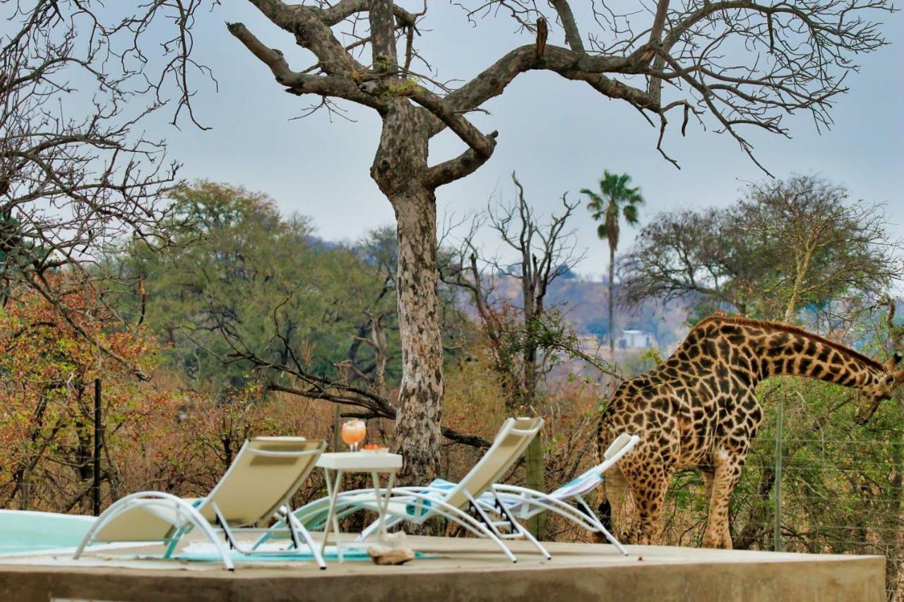 ホテル Ngalali Retreat Grietjie Game Reserve エクステリア 写真