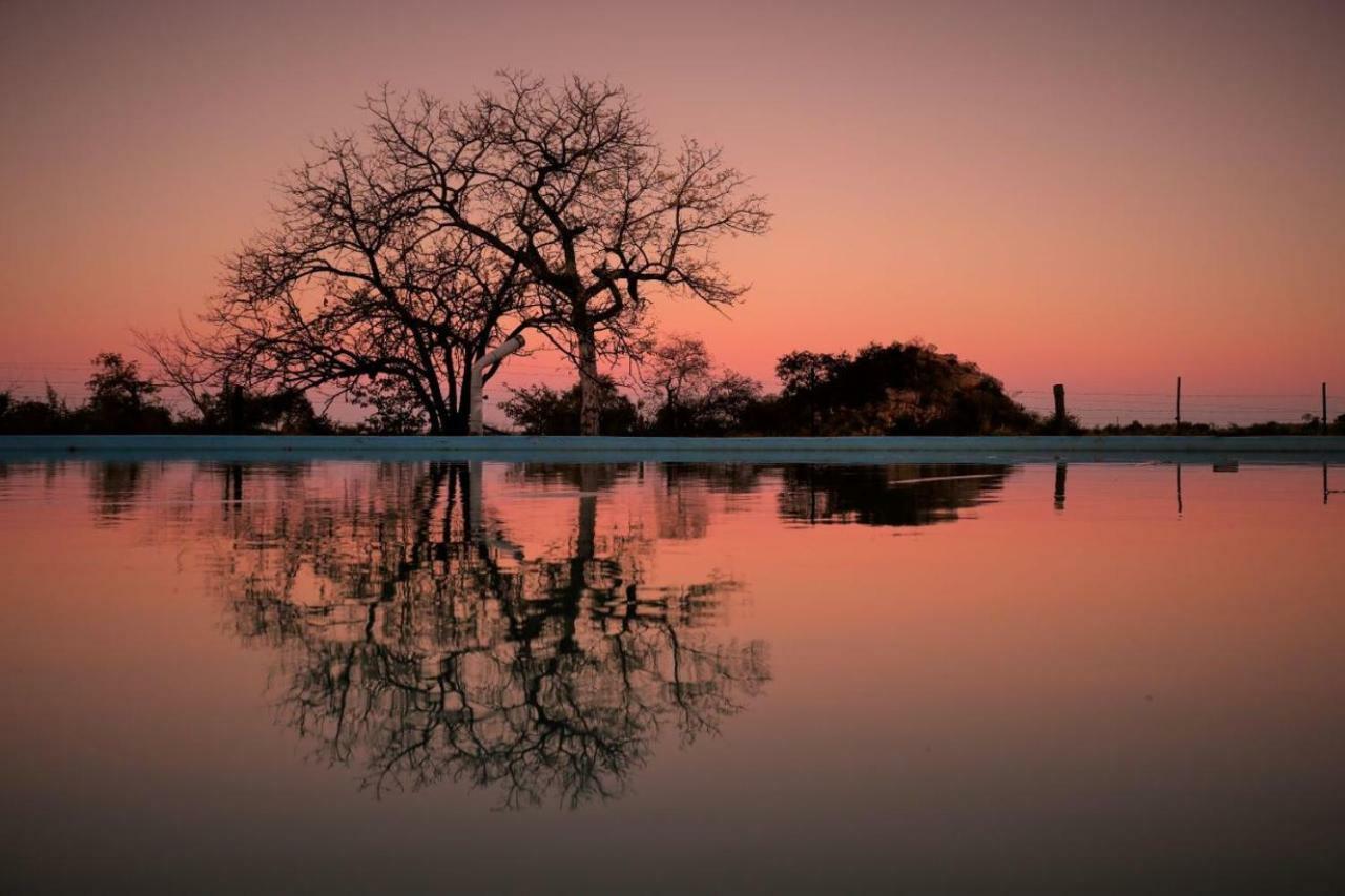 ホテル Ngalali Retreat Grietjie Game Reserve エクステリア 写真